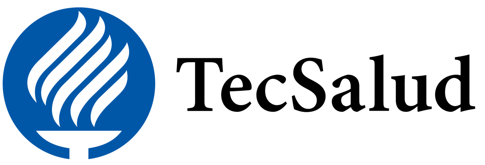 2020-TecSalud_hor-01-1-1